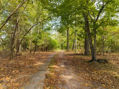 Other - 2088 State Highway Jj, Ozark, MO 65721 photo 10 of 19