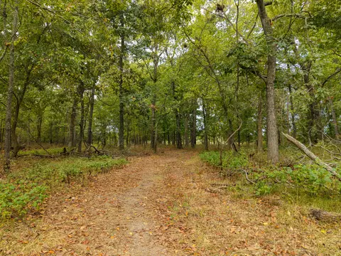 Other - 2088 State Highway Jj, Ozark, MO 65721 photo 6 of 19