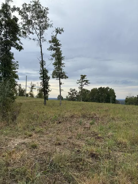 000 E State Highway 76, Ava, MO 65608 photo 15
