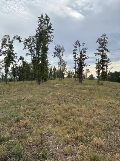 000 E State Highway 76, Ava, MO 65608 photo 11