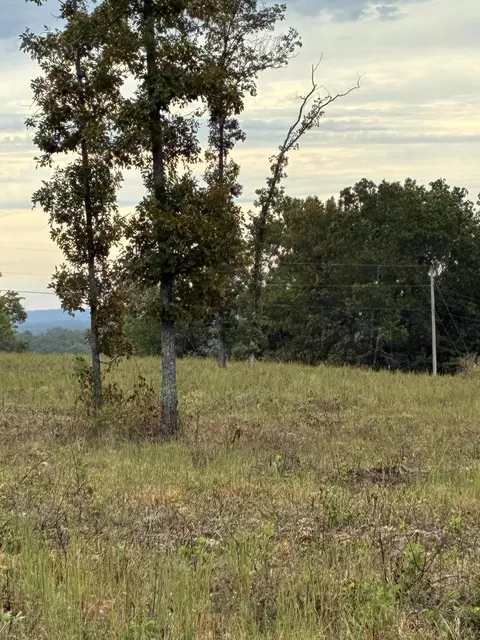 000 E State Highway 76, Ava, MO 65608 photo 2