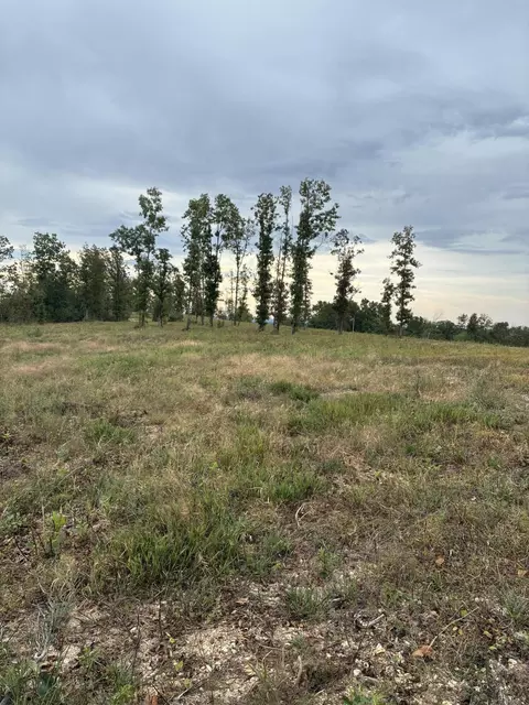 000 E State Highway 76, Ava, MO 65608 photo 5