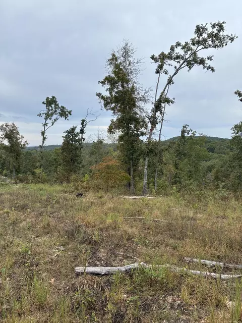 000 E State Highway 76, Ava, MO 65608 photo 12