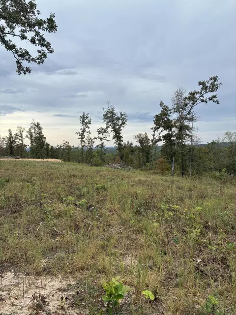 000 E State Highway 76, Ava, MO 65608 photo 3
