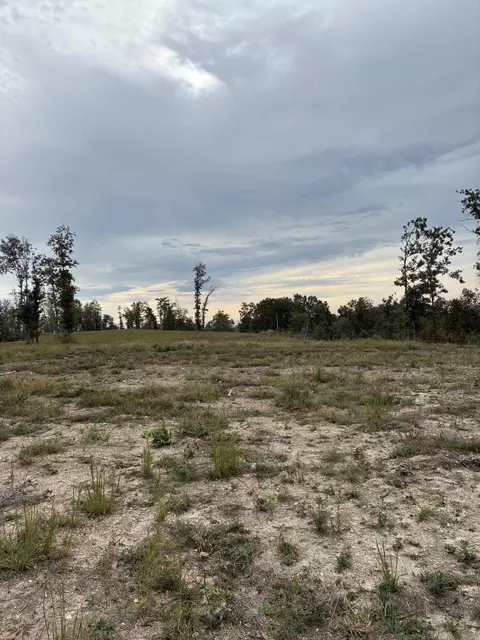 000 E State Highway 76, Ava, MO 65608 photo 6