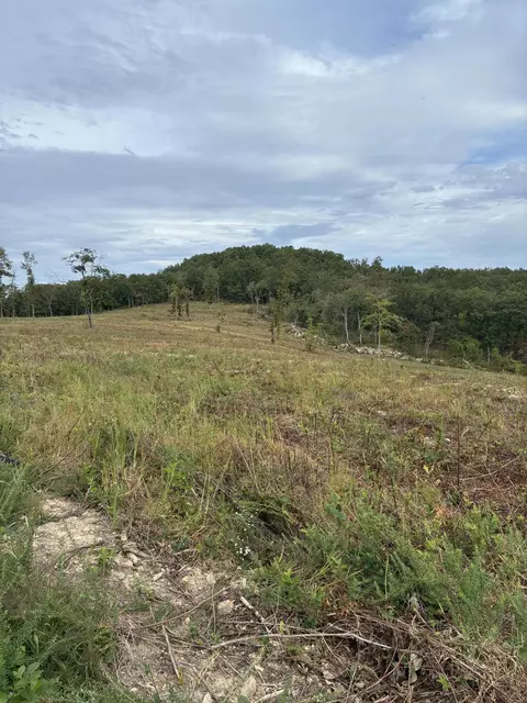 2 State Highway 76, Ava, MO 65608 photo 8