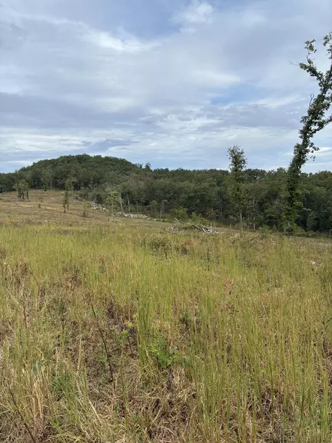2 State Highway 76, Ava, MO 65608 photo 9
