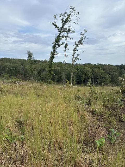 2 State Highway 76, Ava, MO 65608 photo 11