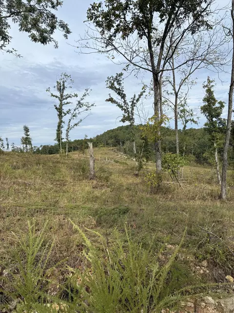 2 State Highway 76, Ava, MO 65608 photo 6