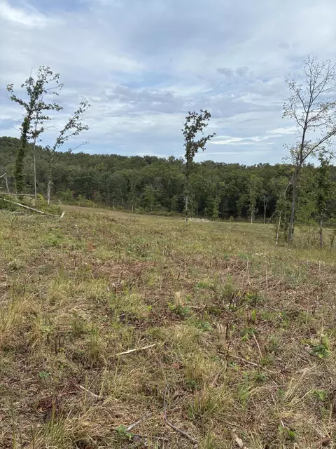 2 State Highway 76, Ava, MO 65608 photo 10