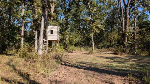 000 SE 731 Rd, Collins, MO 64738 photo 4