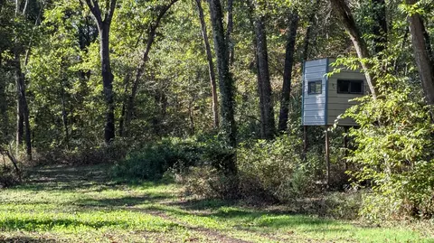 000 SE 731 Rd, Collins, MO 64738 photo 9
