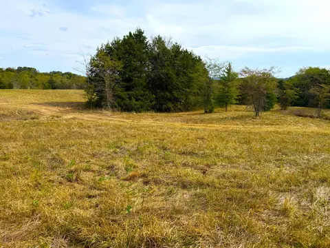000 E Highway Tract 3, Eagle Rock, MO 65641 photo 27