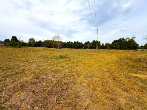 000 E Highway Tract 3, Eagle Rock, MO 65641 photo 3