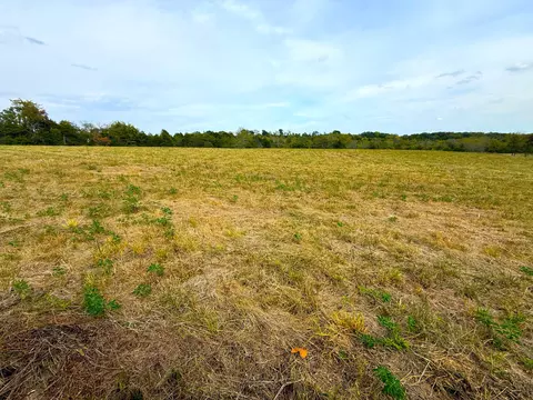 000 E Highway Tract 3, Eagle Rock, MO 65641 photo 12