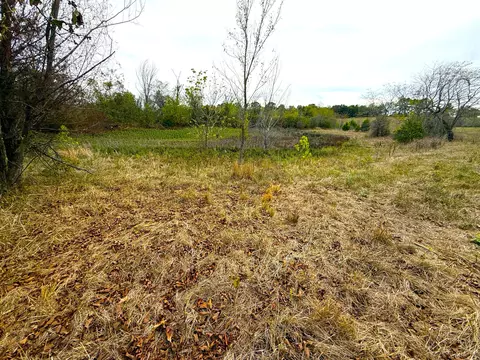 000 E Highway Tract 4, Eagle Rock, MO 65641 photo 30