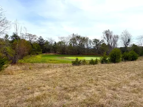 000 E Highway Tract 4, Eagle Rock, MO 65641 photo 20