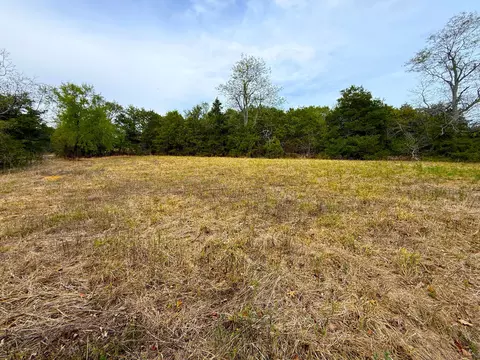 000 E Highway Tract 4, Eagle Rock, MO 65641 photo 27