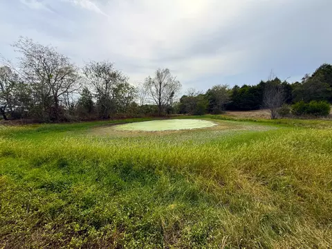 000 E Highway Tract 4, Eagle Rock, MO 65641 photo 22