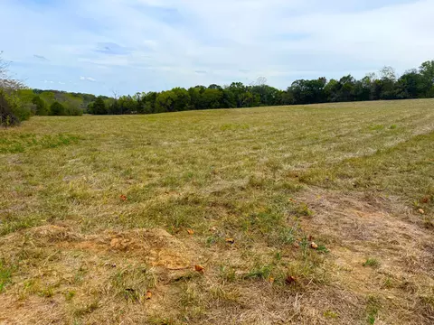 000 State Highway 86 Tract 5, Eagle Rock, MO 65641 photo 5