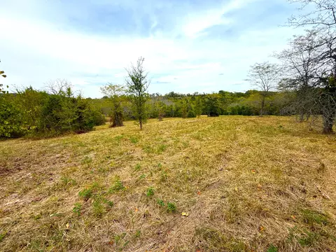 000 State Highway 86 Tract 5, Eagle Rock, MO 65641 photo 19