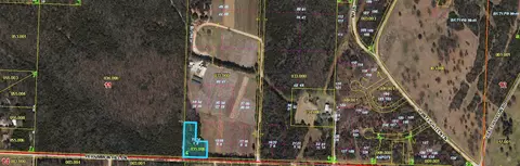 000 Persimmon Hill Ln, Lampe, MO 65681 photo 2