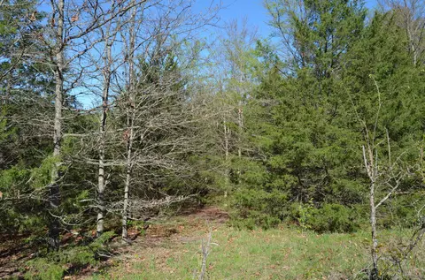 000 Persimmon Hill Ln, Lampe, MO 65681 photo 6