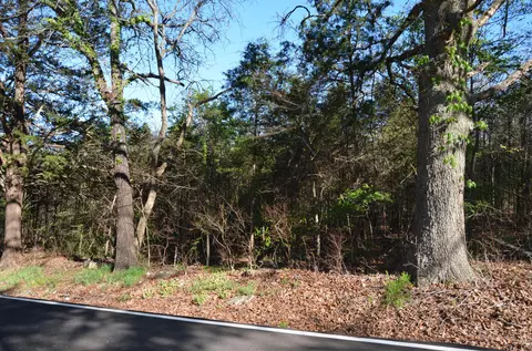 000 Persimmon Hill Ln, Lampe, MO 65681 photo 10