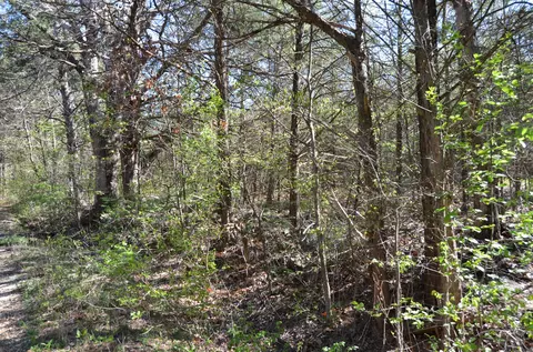 000 Persimmon Hill Ln, Lampe, MO 65681 photo 14