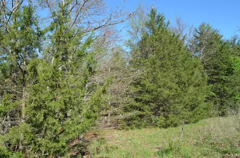 000 Persimmon Hill Ln, Lampe, MO 65681 photo 4