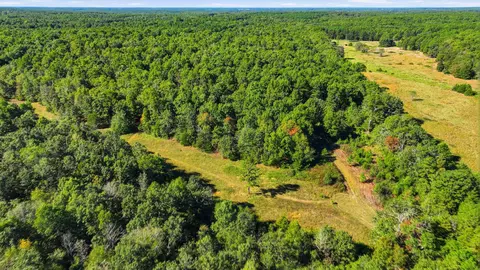 Other - 8969 County Road 445, Winona, MO 65588 photo 10 of 14
