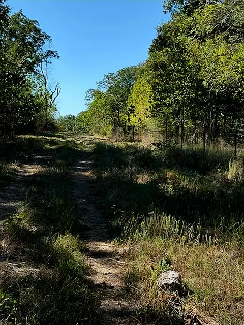 0000 Highway Yy, Cabool, MO 65689 photo 3