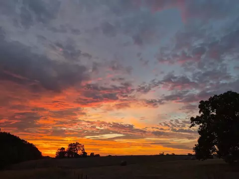 Other - 218 Brookside Dr, Seymour, MO 65746 photo 14 of 26