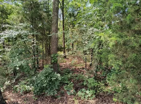 000 County Road 317, Tecumseh, MO 65760 photo 8