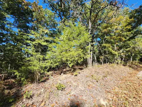 000 County Road 317, Tecumseh, MO 65760 photo 11