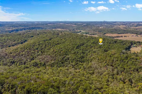 000 County Road 317, Tecumseh, MO 65760 photo 15