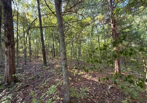 000 County Road 317, Tecumseh, MO 65760 photo 7