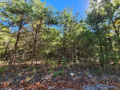 000 County Road 317, Tecumseh, MO 65760 photo 10