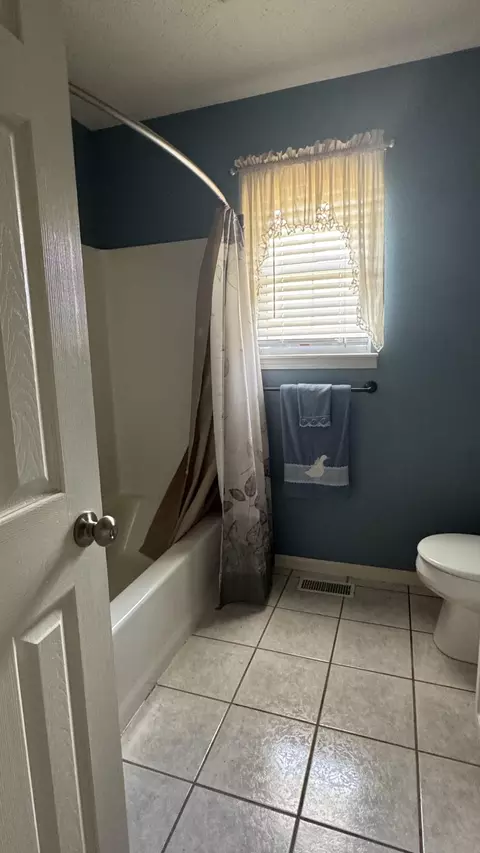 Bath - 940 Bradford Ct, Marshfield, MO 65706 photo 4 of 5