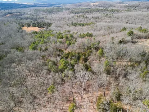 View/Area - 10139 State Highway Ff, Zanoni, MO 65784 photo 2 of 8