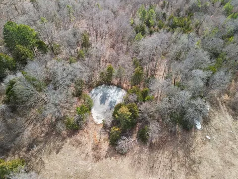 View/Area - 10139 State Highway Ff, Zanoni, MO 65784 photo 4 of 8
