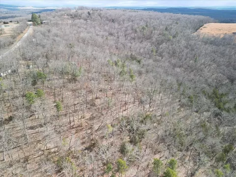 View/Area - 10139 State Highway Ff, Zanoni, MO 65784 photo 7 of 8