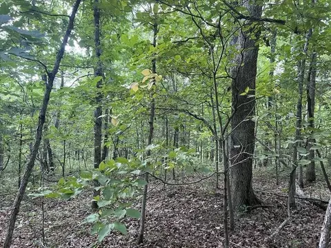 Other - 573 County Road Ab-230, Ava, MO 65608 photo 16 of 18