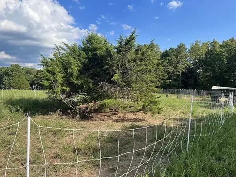 Exterior - 573 County Road Ab-230, Ava, MO 65608 photo 6 of 12
