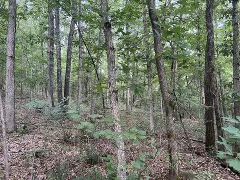 Other - 573 County Road Ab-230, Ava, MO 65608 photo 15 of 18
