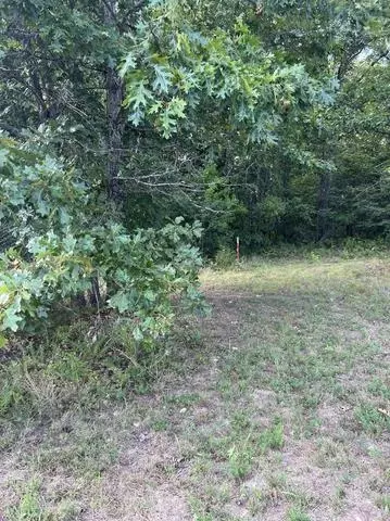 Other - 573 County Road Ab-230, Ava, MO 65608 photo 13 of 18