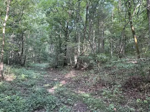 Other - 573 County Road Ab-230, Ava, MO 65608 photo 14 of 18