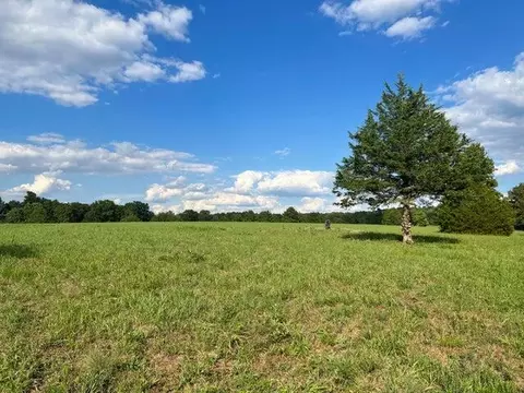 Other - 573 County Road Ab-230, Ava, MO 65608 photo 6 of 18