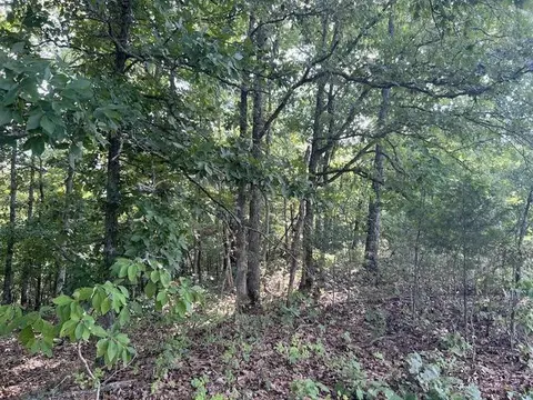 Exterior - 573 County Road Ab-230, Ava, MO 65608 photo 9 of 12