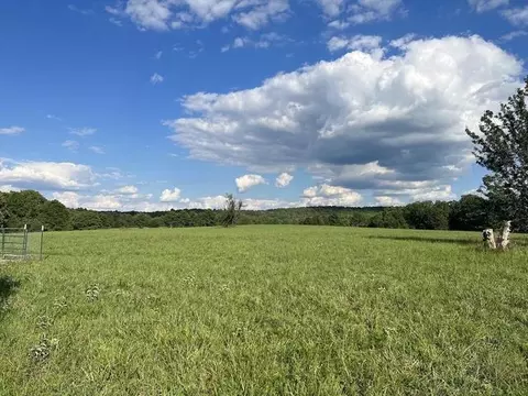 Other - 573 County Road Ab-230, Ava, MO 65608 photo 7 of 18